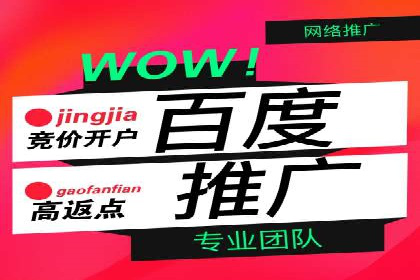 Sem优化公司成功案例：转化率提升之道